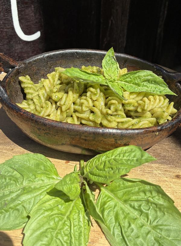 FUSILLI AL PESTO 